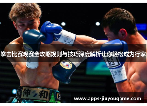 拳击比赛观赛全攻略规则与技巧深度解析让你轻松成为行家