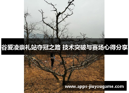 谷爱凌崇礼站夺冠之路 技术突破与赛场心得分享