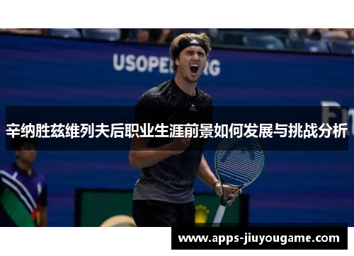 辛纳胜兹维列夫后职业生涯前景如何发展与挑战分析