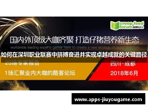 如何在深圳职业联赛中拼搏奋进并实现卓越成就的关键路径