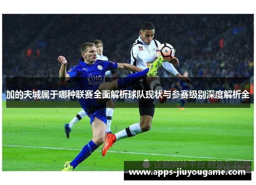 加的夫城属于哪种联赛全面解析球队现状与参赛级别深度解析全 加的夫城属于哪种联赛全面解析球队现状与参赛级别深度解析全